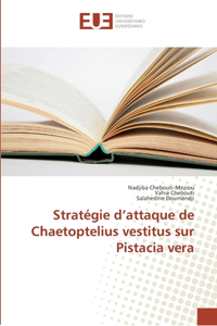 Stratégie d'attaque de Chaetoptelius vestitus sur Pistacia vera