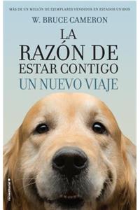 La Razon de Estar Contigo. Un Nuevo Viaje