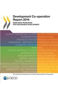 Development Co-operation Report 2014