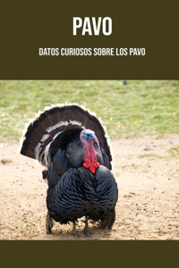 Pavo