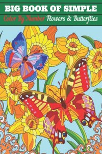 Big Book of Simple Color By Number Flowers & Butterflies