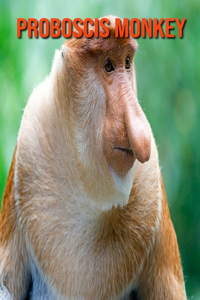 Proboscis Monkey