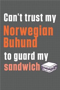 Can't trust my Norwegian Buhund to guard my sandwich: For Norwegian Buhund Dog Breed Fans