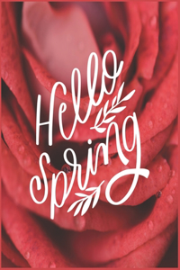 Hello Spring