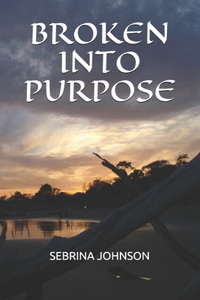 Broken Into Purpose