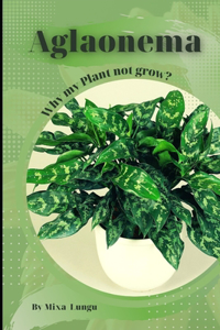 Aglaonema