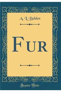 Fur (Classic Reprint)