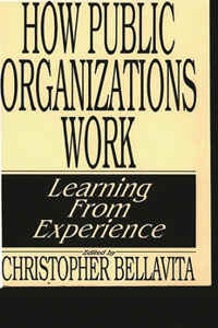 How Public Organizations Work