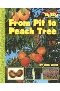 From Pit to Peach Tree