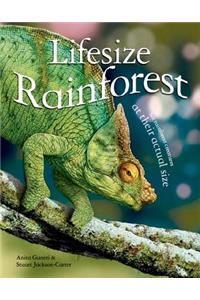 Lifesize: Rainforest: See Rainforest Creatures at Their Actual Size