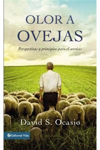 Olor a Ovejas