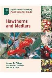 Hawthorns and Medlars