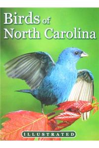 Birds of North Carolina