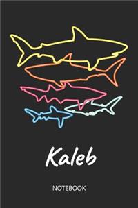 Kaleb - Notebook