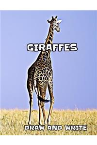 Giraffes