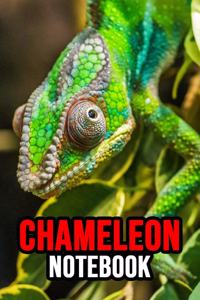 Chameleon Notebook