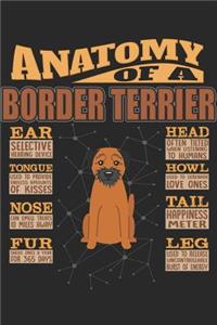 Anatomy Of A Border Terrier