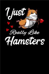 I Just Really Like Hamsters