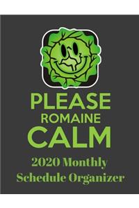 Please Romaine Calm 2020 Monthly Schedule Organizer