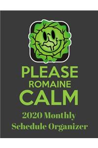 Please Romaine Calm 2020 Monthly Schedule Organizer