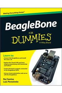 Beaglebone for Dummies