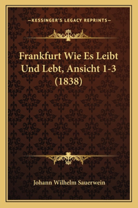 Frankfurt Wie Es Leibt Und Lebt, Ansicht 1-3 (1838)