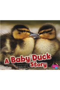 Baby Animals Baby Duck Story