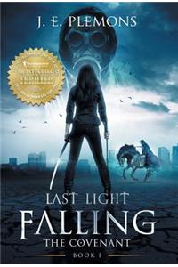 Last Light Falling