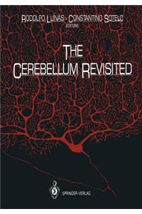 Cerebellum Revisited