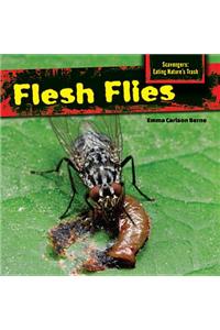 Flesh Flies