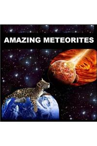 Amazing Meteorites