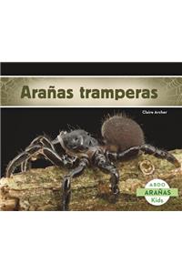 Arañas Tramperas