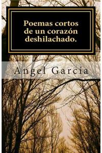 Poemas cortos de un corazón deshilachado.