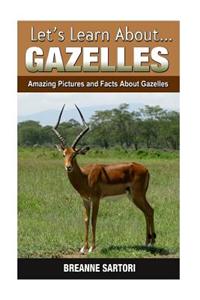 Gazelles: Amazing Pictures and Facts about Gazelles