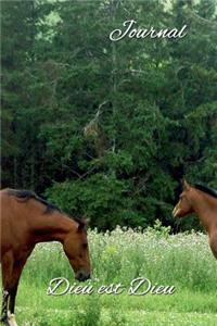 Journal, Dieu est Dieu