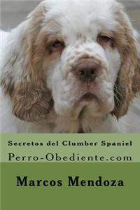 Secretos del Clumber Spaniel