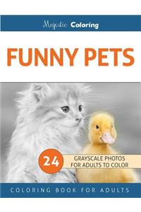 Funny Pets