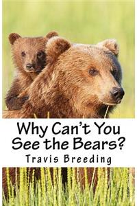 Why Can't You See the Bears?