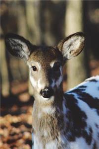 Spotted Deer Journal