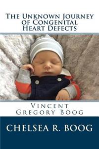 Unknown Journey of Congenital Heart Defects