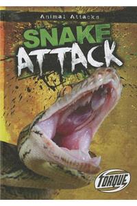 Snake Attack