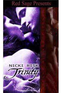 Trinity Three Kinds of Wicked Book 12