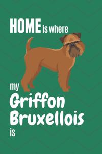Home is where my Griffon Bruxellois is