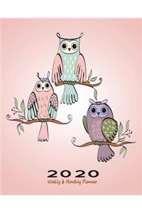 2020 Weekly & Monthly Planner