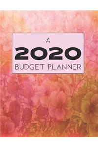 A 2020 Budget Planner