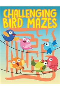 Challenging Bird Mazes
