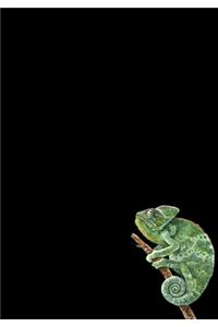Chameleon Journal