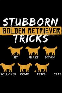 Stubborn Golden Retriever tricks sit shake down roll over come fetch stay