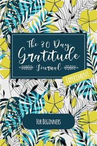 The 30 Day Gratitude Journal Experiment for Beginners