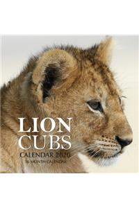 Lion Cubs Calendar 2020
